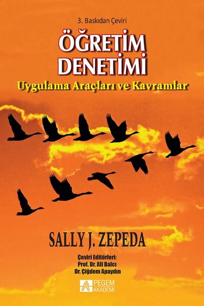 Pegem Akademi Öğretim Denetimi