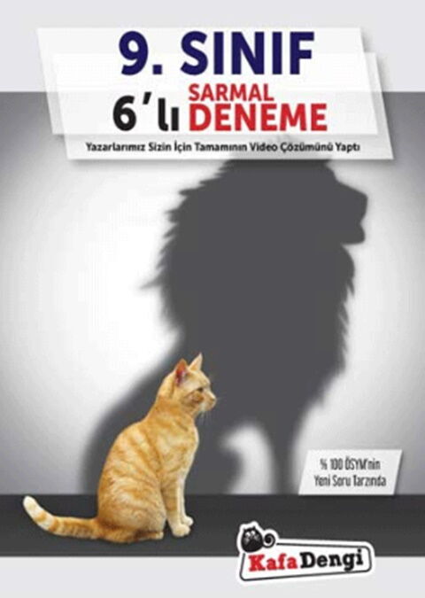 Kafa Dengi Yayınları 9. Sınıf 6 lı Sarmal Uygulama Deneme