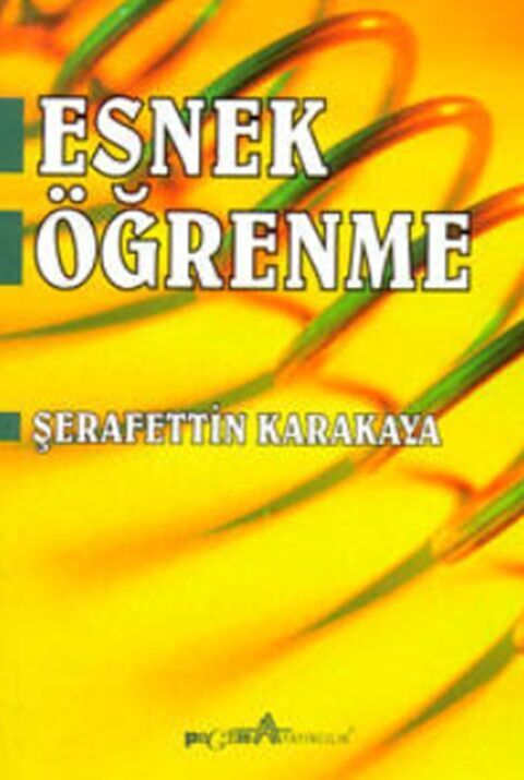 Pegem Akademi Esnek Öğrenme