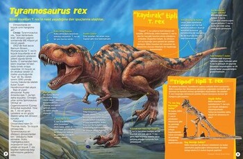  Dikkat Atölyesi Yayınları Dinozor Sevenler İçin Hidden Pictures