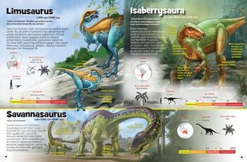  Dikkat Atölyesi Yayınları Dinozor Sevenler İçin Hidden Pictures
