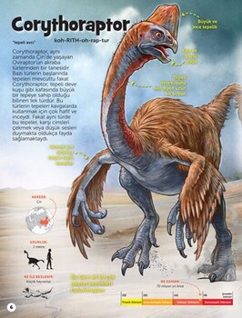  Dikkat Atölyesi Yayınları Dinozor Sevenler İçin Hidden Pictures