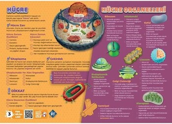  KR Akademi 7. Sınıf Fen Bilimleri Poster Notlar