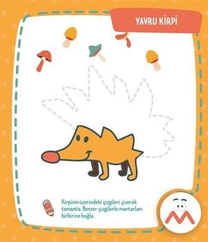  Dikkat Atölyesi Yayınları Eğitici Çizgiler Yaz-Sil Evde Etkinlik Kitabı 2-4 Yaş