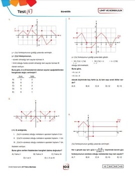  Etkili Matematik Yayınları AYT Grafikliyorum Soru Bankası