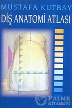  Palme Yayınları Diş Anatomi Atlası