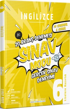  Pruva Akademi 6. Sınıf İngilizce Deneme