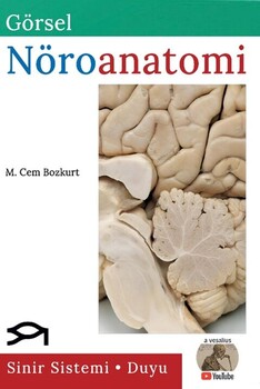  Palme Yayınları Görsel Nöroanatomi