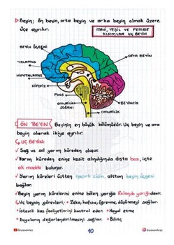  KR Akademi Yağmur Hoca ile AYT Biyosentez Sistemler Not Defteri Tamamı El Yazılı