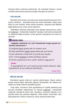  Yayın Denizi TYT Türkçe Pro Konu Anlatımı El Kitabı