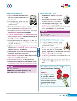  Apotemi AYT Edebiyat Konu Özeti
