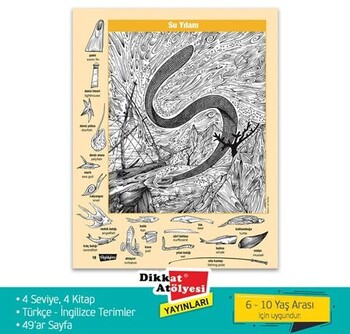  Dikkat Atölyesi Yayınları Hidden Pictures Gizli Resimler 4 lü Set