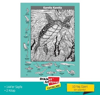  Dikkat Atölyesi Yayınları Favori Hidden Pictures 2 li Set