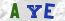 Güvenlik Resmi