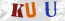 Güvenlik Resmi