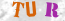 Güvenlik Resmi