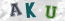 Güvenlik Resmi