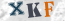Güvenlik Resmi