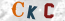 Güvenlik Resmi