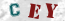 Güvenlik Resmi