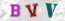 Güvenlik Resmi